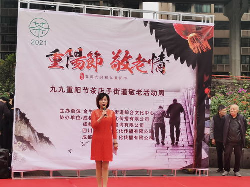 茶店子街道重阳敬老暖人心 文化盛宴促交流